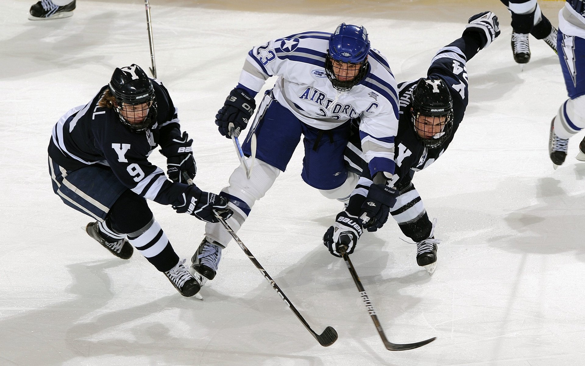 中国篮球职业联赛裁判员技术水平提升,中国篮协裁判员管理条例暨实施细则