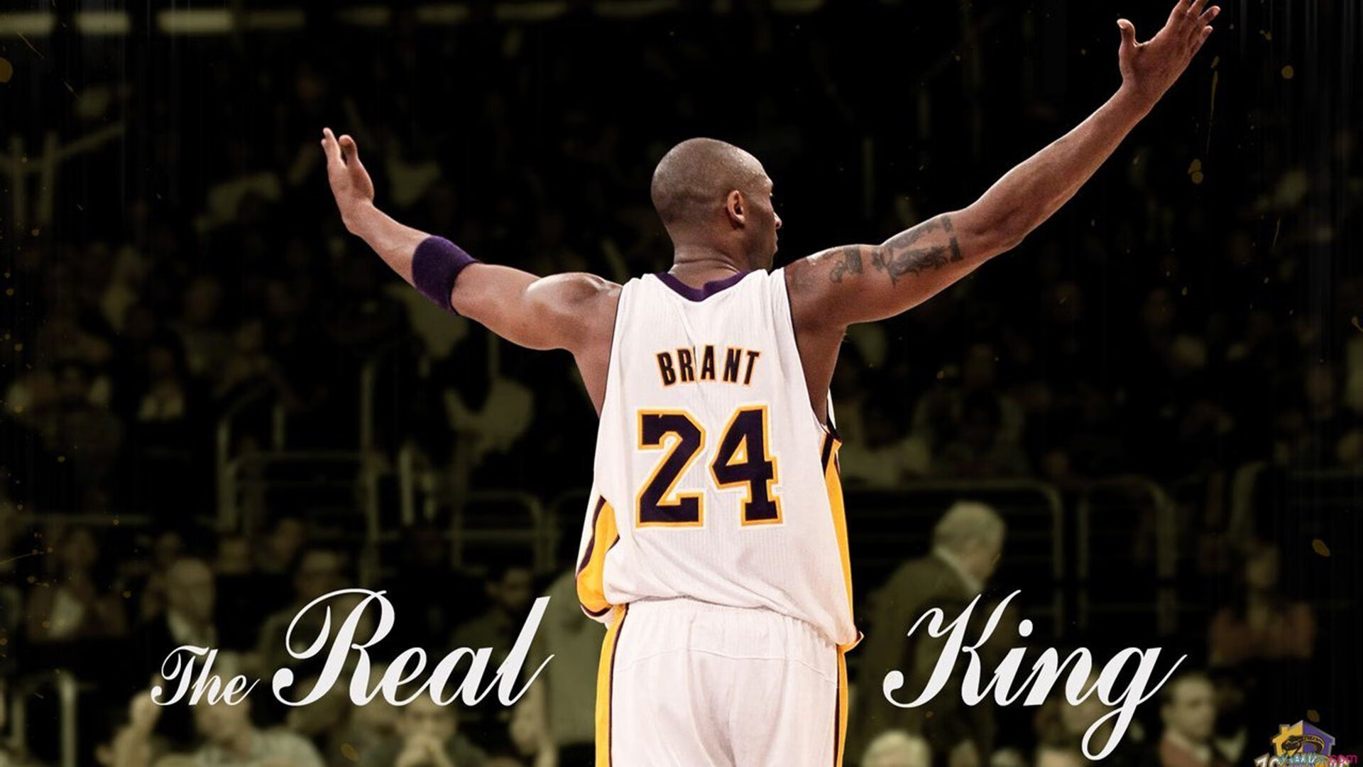 残疾人体育赛事信息无障碍保障方案，残疾人体育比赛